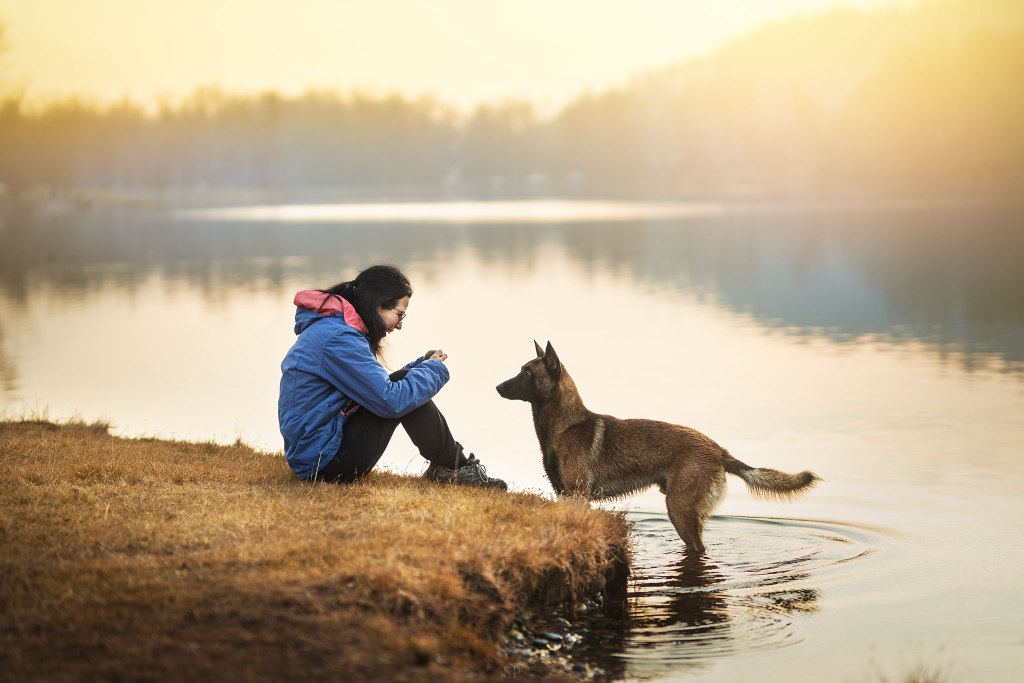 éducateur canin dijon