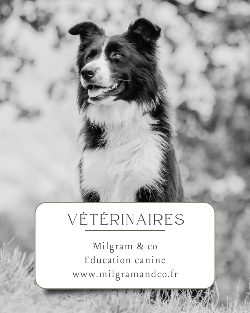 vétérinaire à dijon