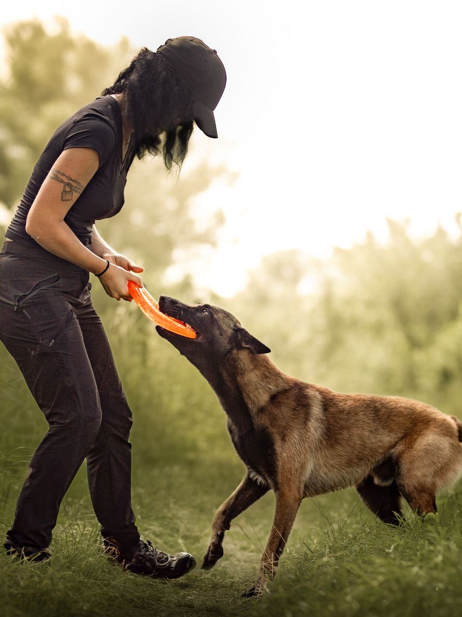 Quand la littérature rend&nbsp;hommage