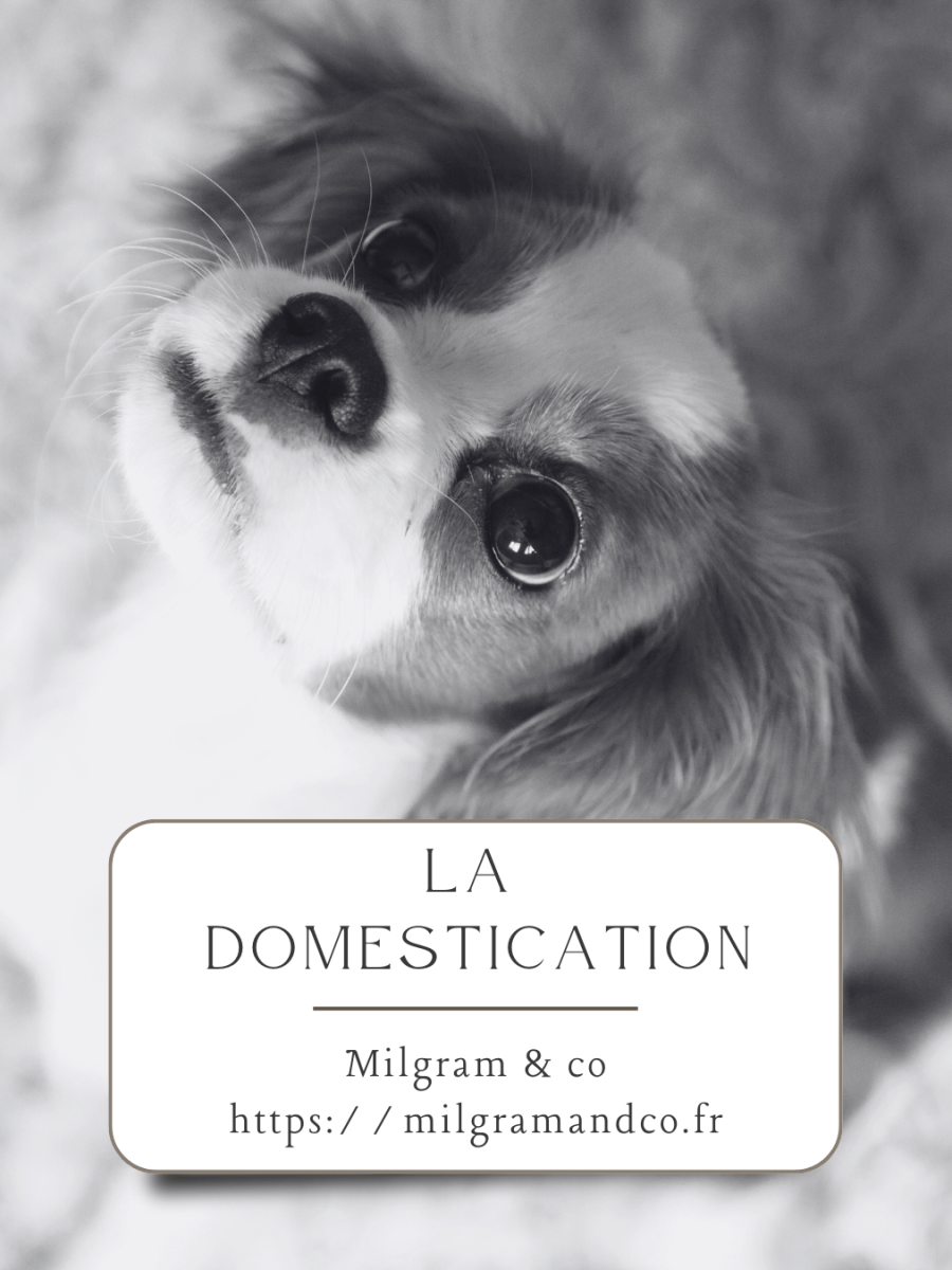 La domestication