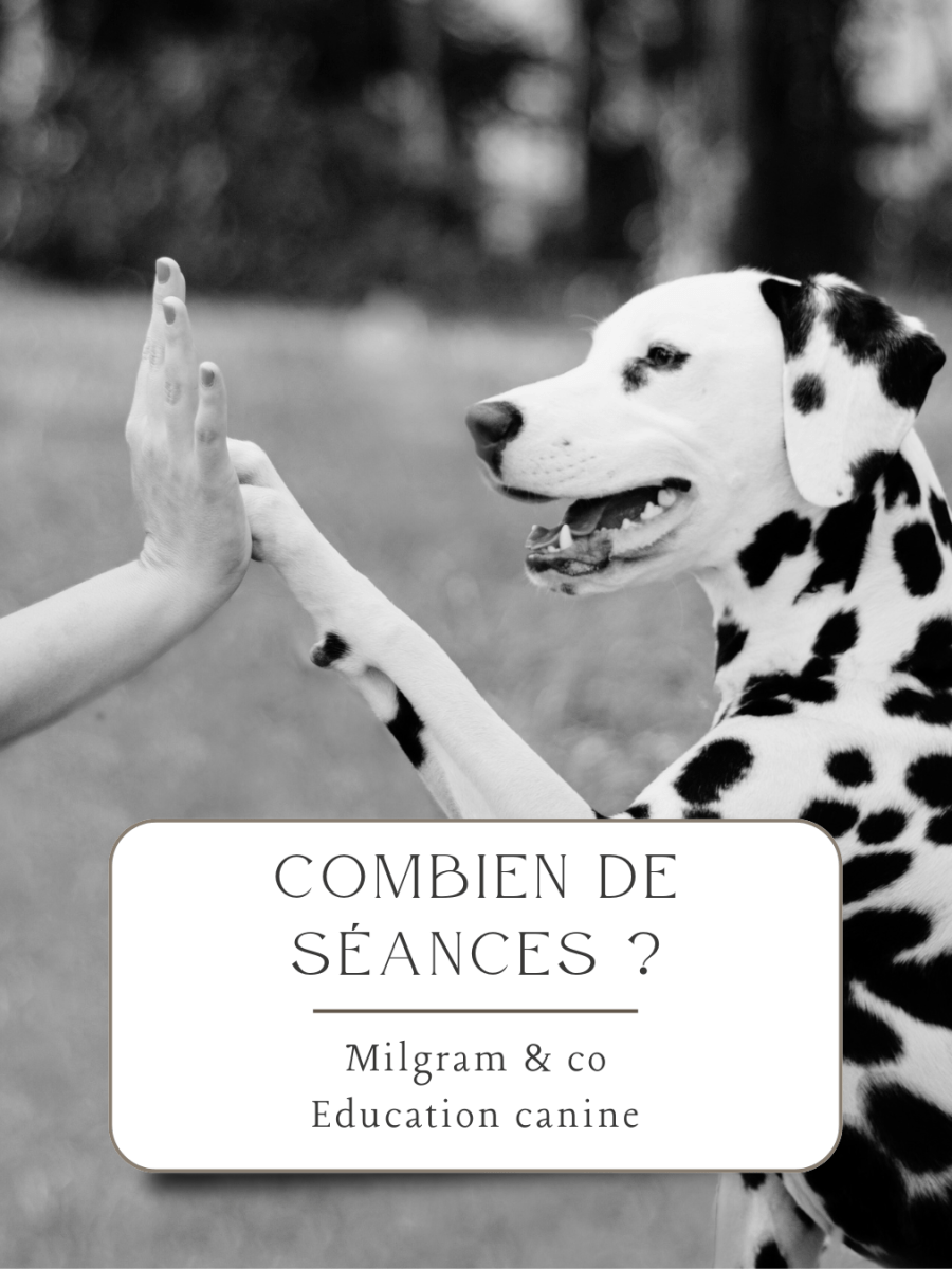 &laquo;&nbsp;De combien de séances vais-je avoir besoin&nbsp;?&nbsp;&raquo;