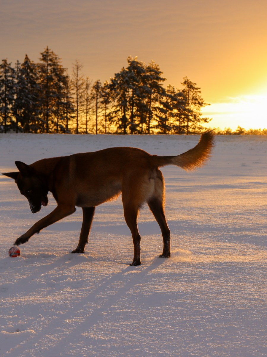 Ce qui change en&nbsp;décembre