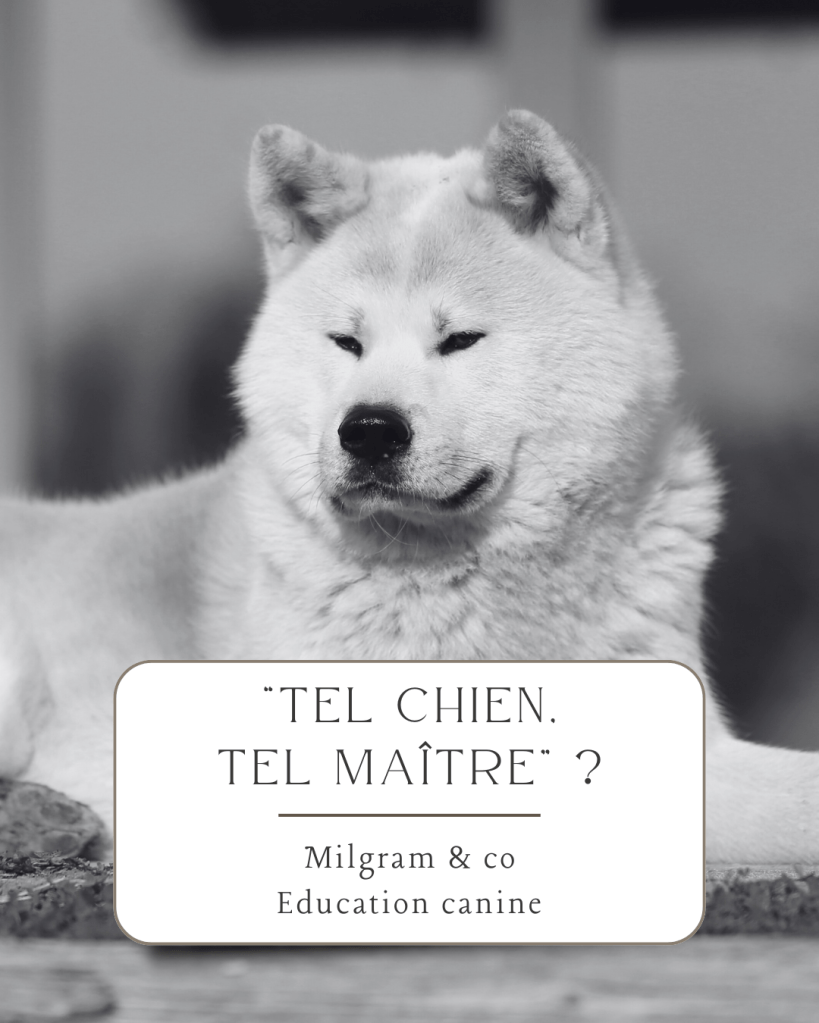 éducatrice canin dijon