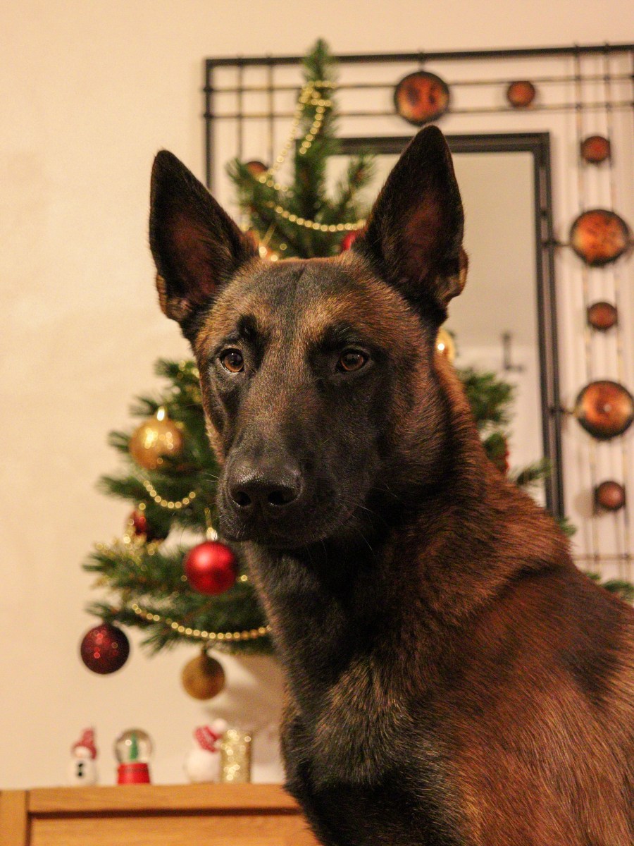 Les p&rsquo;tits changements de&nbsp;2026