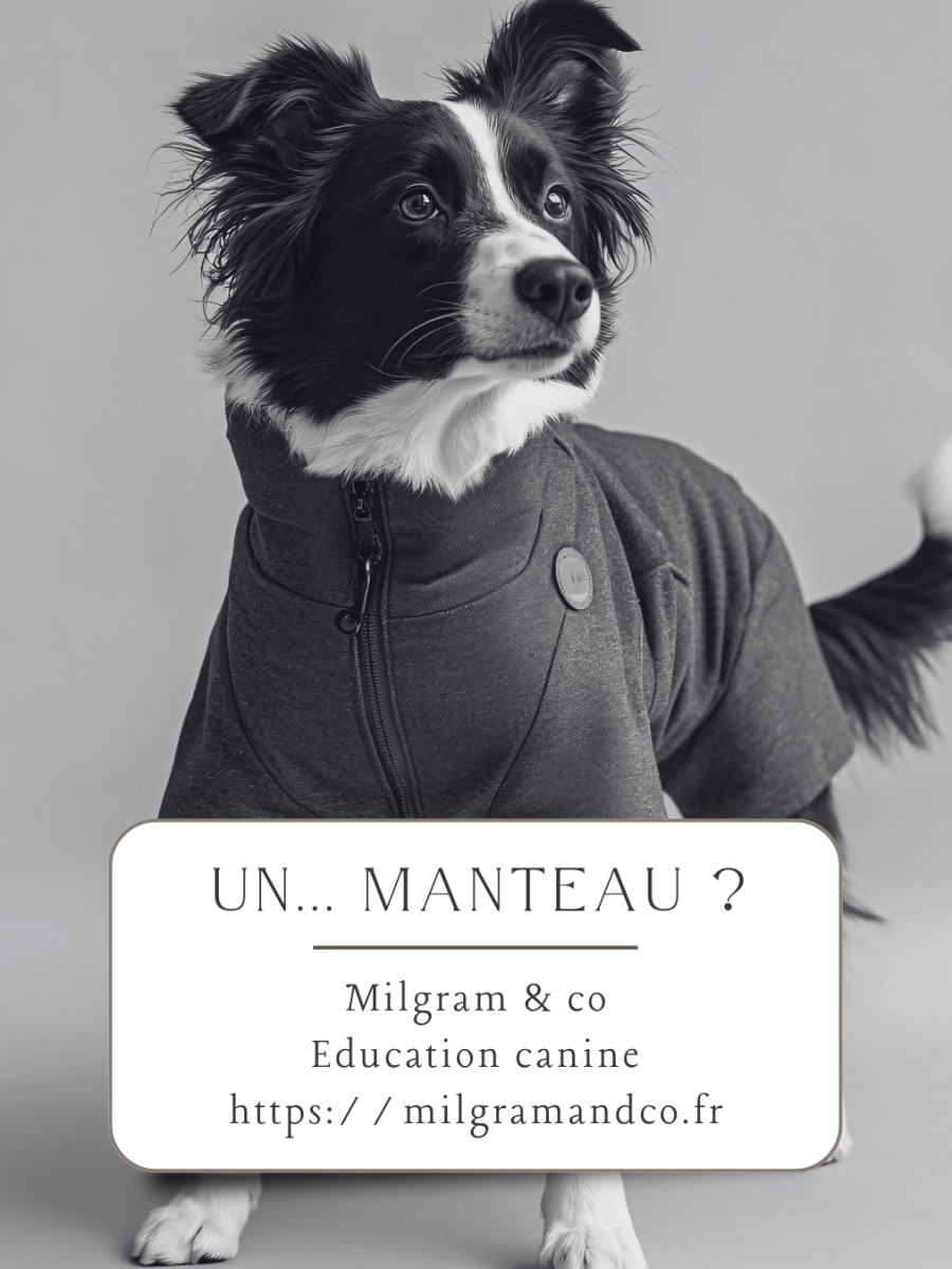 Un… manteau ?