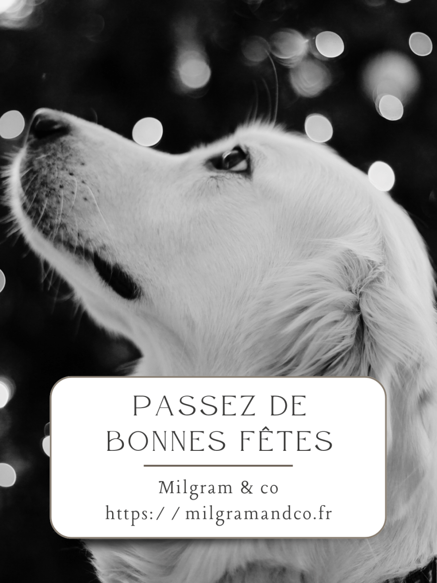 Passez de bonnes&nbsp;fêtes