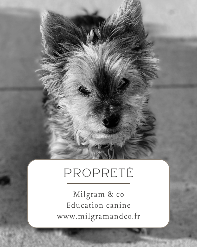 éducateur canin dijon