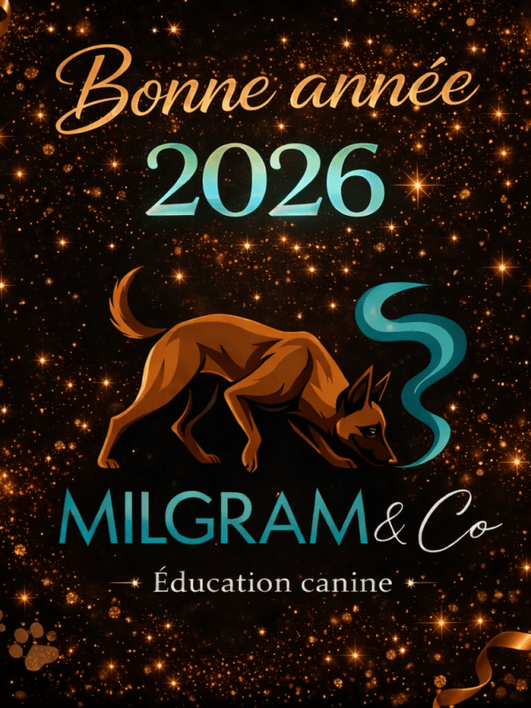 En route vers&nbsp;2026