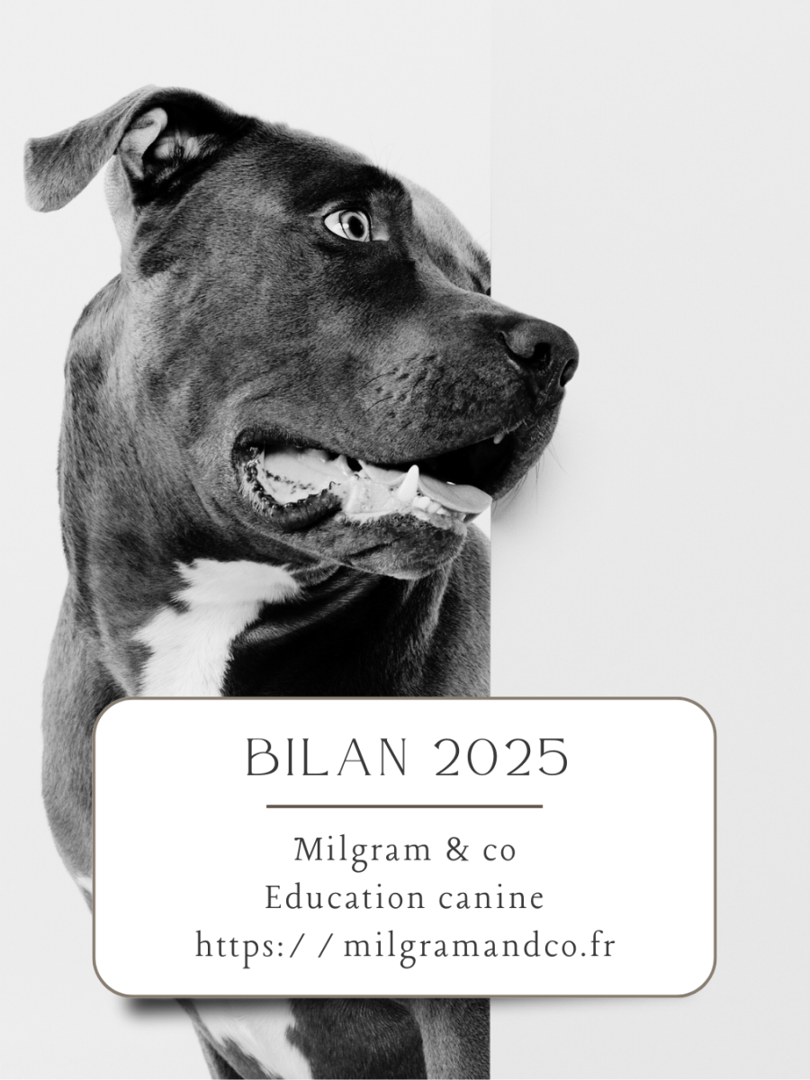 Bilan 2025
