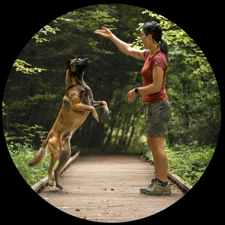 moi et mon malinois complice
